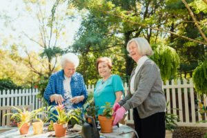 Financing Senior Living: The Options
