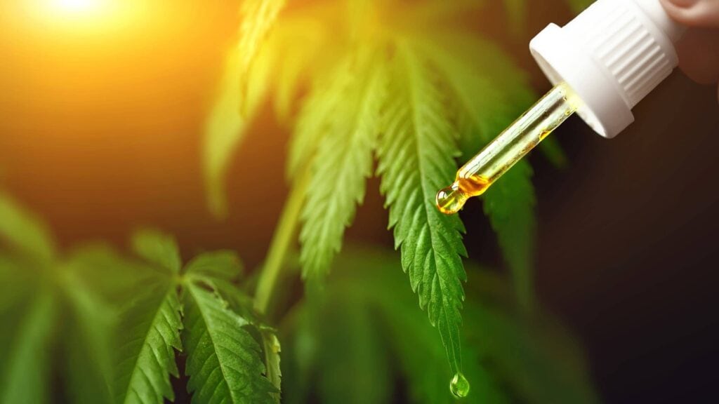 cbd treatment