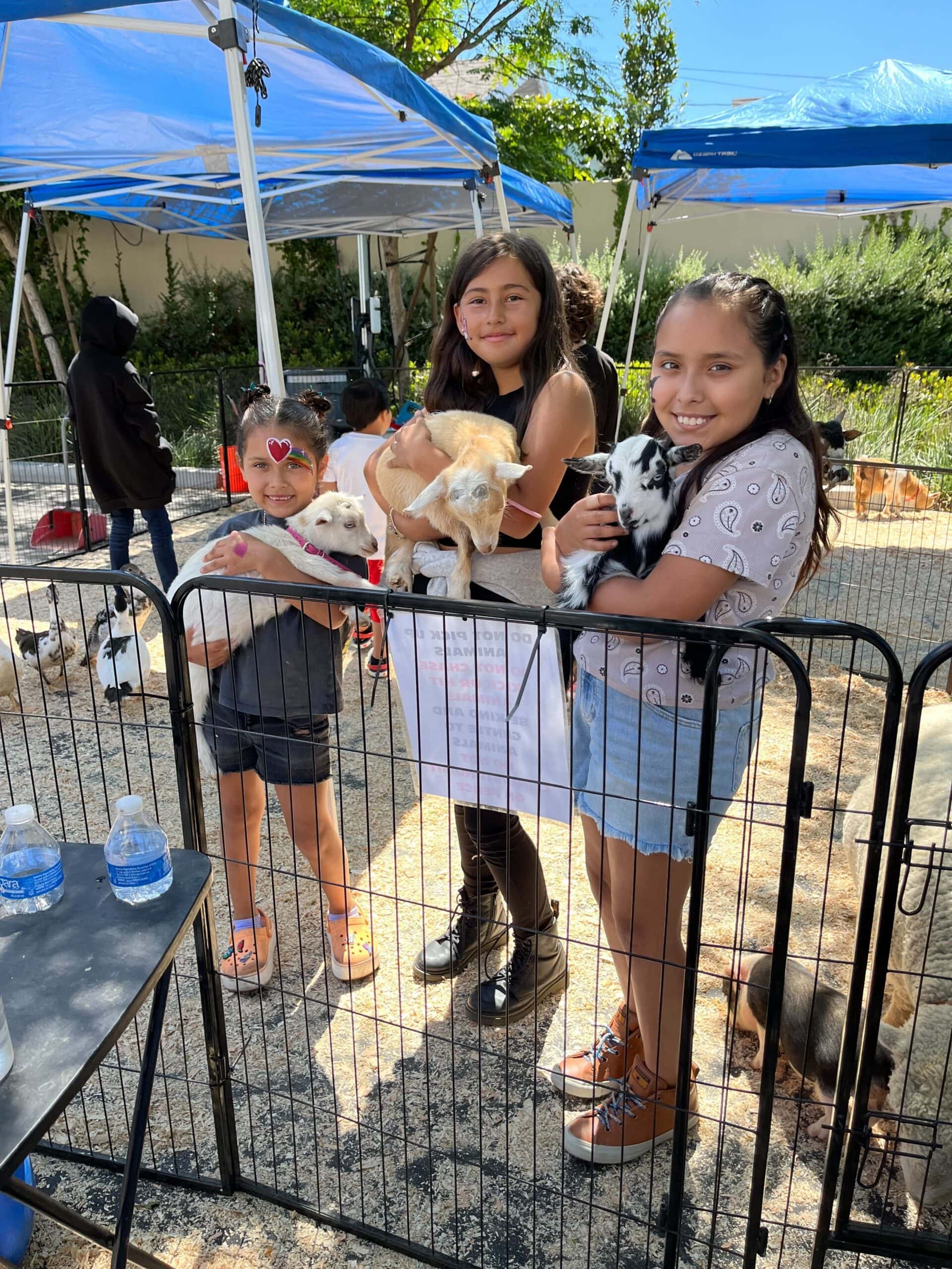 children holding baby goats